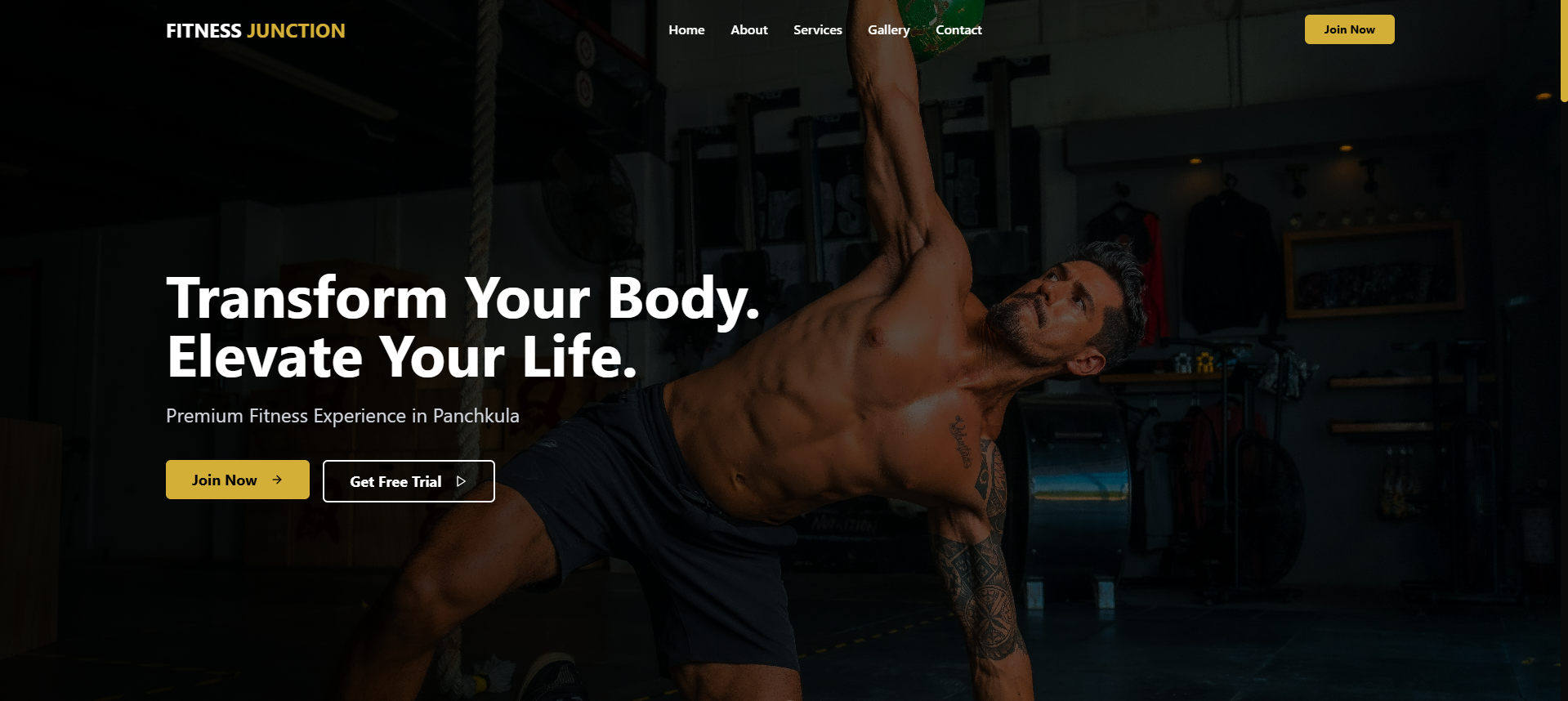 Fitness Website project